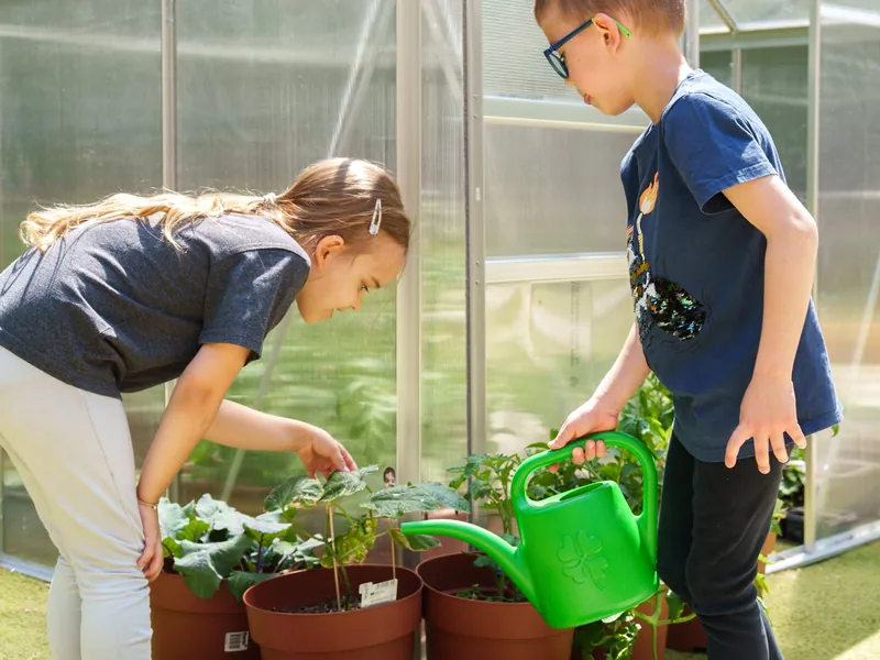 Children watering plants in the school greenhouse
